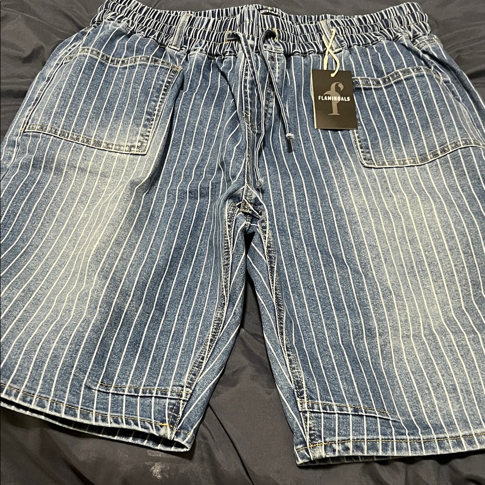 Flamengal 4x Blue Pinstripe Denim Jean Shorts